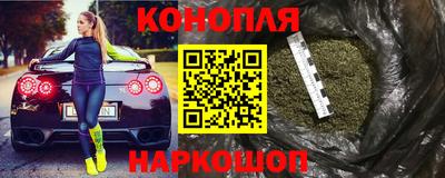 прущие грибы Пушкино
