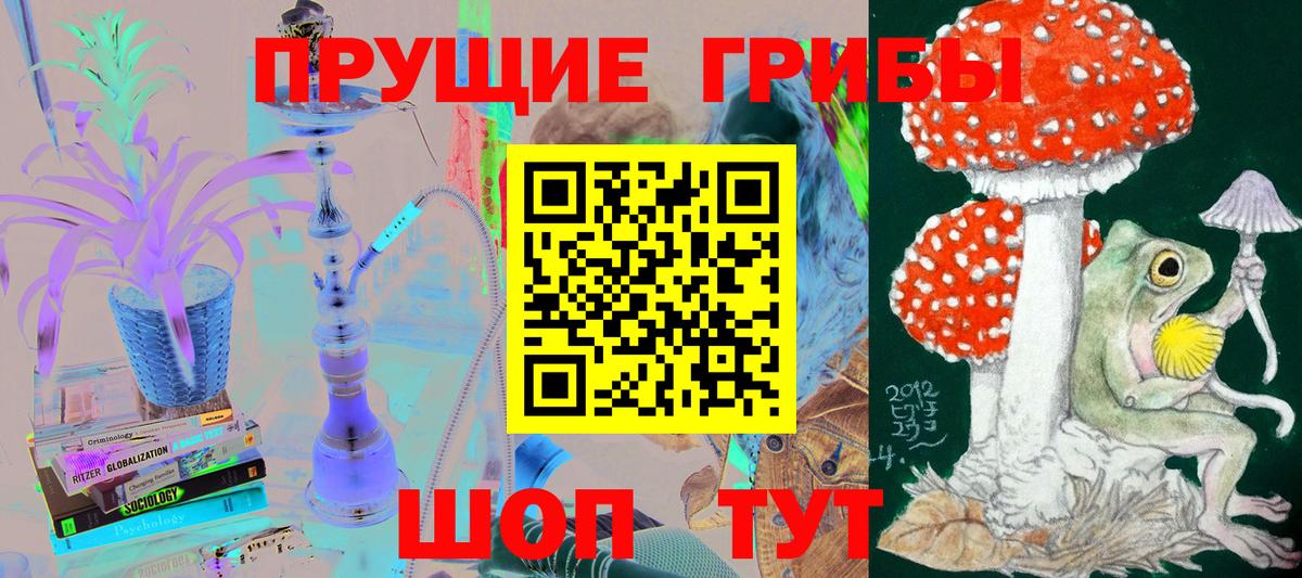 Псилоцибиновые грибы GOLDEN TEACHER Саяногорск